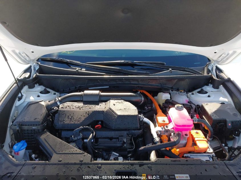 2026 Hyundai Tucson Sel Convenience VIN: KM8JCDD16TU405391 Lot: 12537865