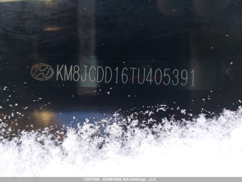 2026 Hyundai Tucson Sel Convenience VIN: KM8JCDD16TU405391 Lot: 12537865