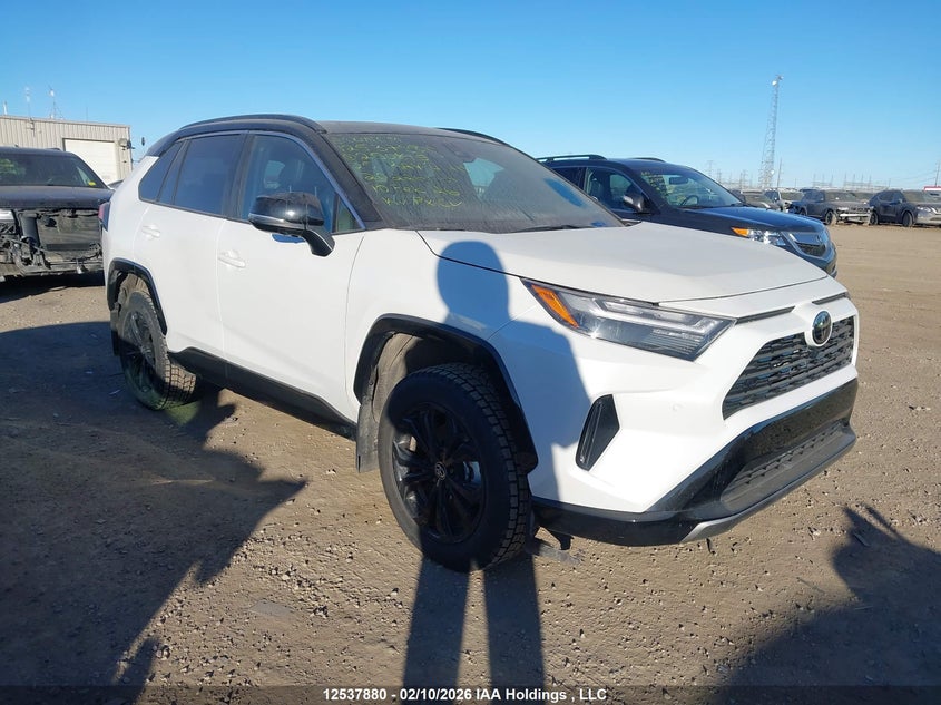 2025 TOYOTA RAV4 HYBRID