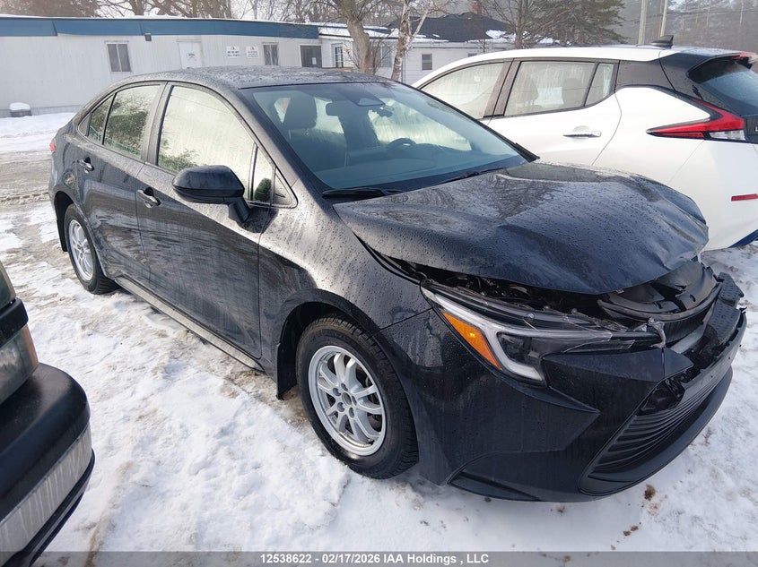 2024 TOYOTA COROLLA HYBRID LE
