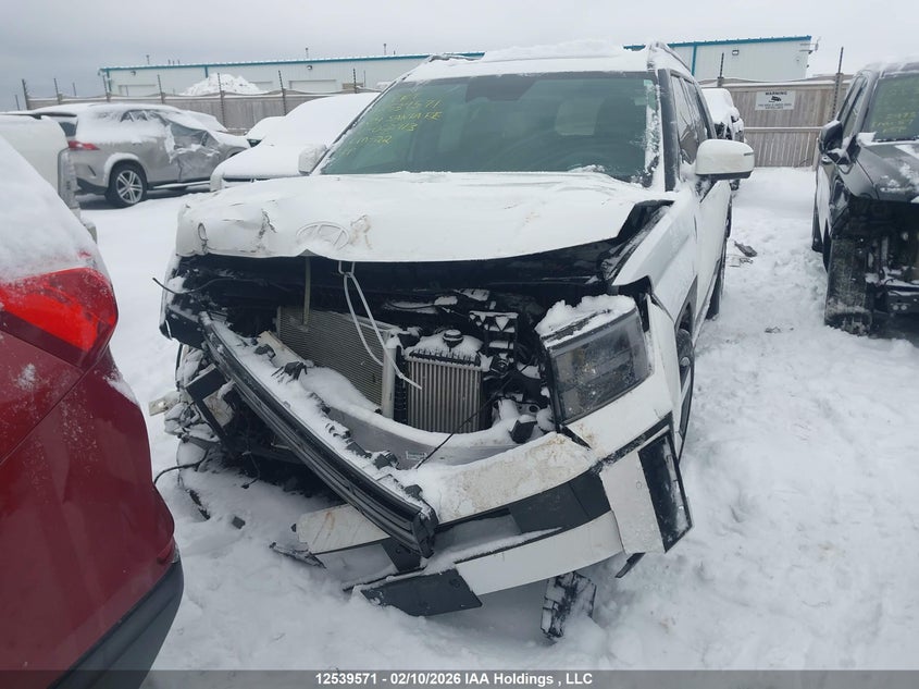 2024 Hyundai Santa Fe Limited VIN: 5NMP4DGL4RH020713 Lot: 12539571