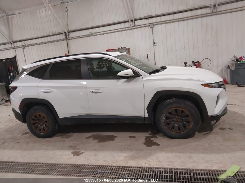 2022 Hyundai Tucson Sel VIN: KM8JBCAE6NU092530 Lot: 12539815