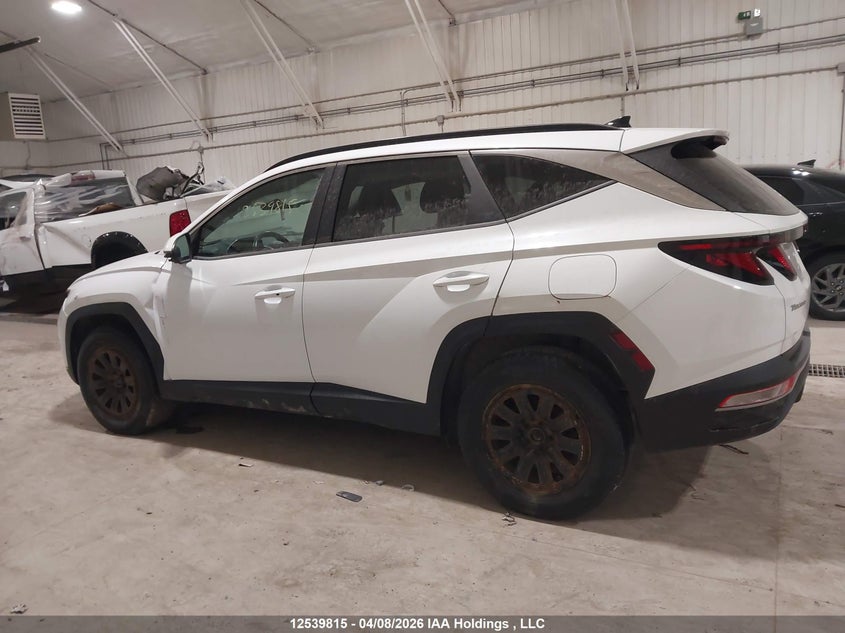 2022 Hyundai Tucson Sel VIN: KM8JBCAE6NU092530 Lot: 12539815