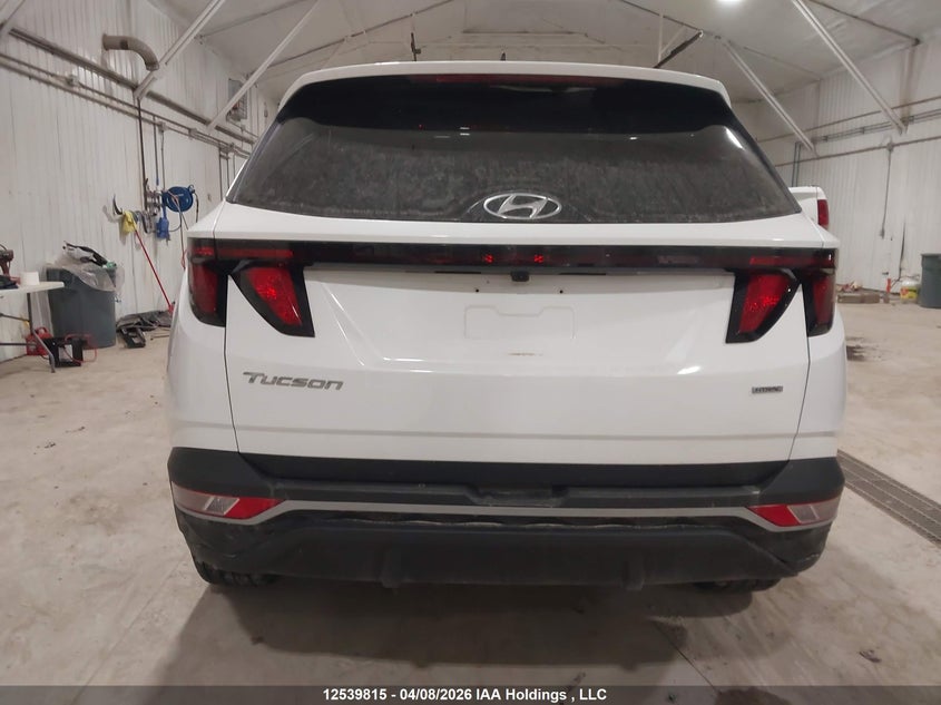 2022 Hyundai Tucson Sel VIN: KM8JBCAE6NU092530 Lot: 12539815