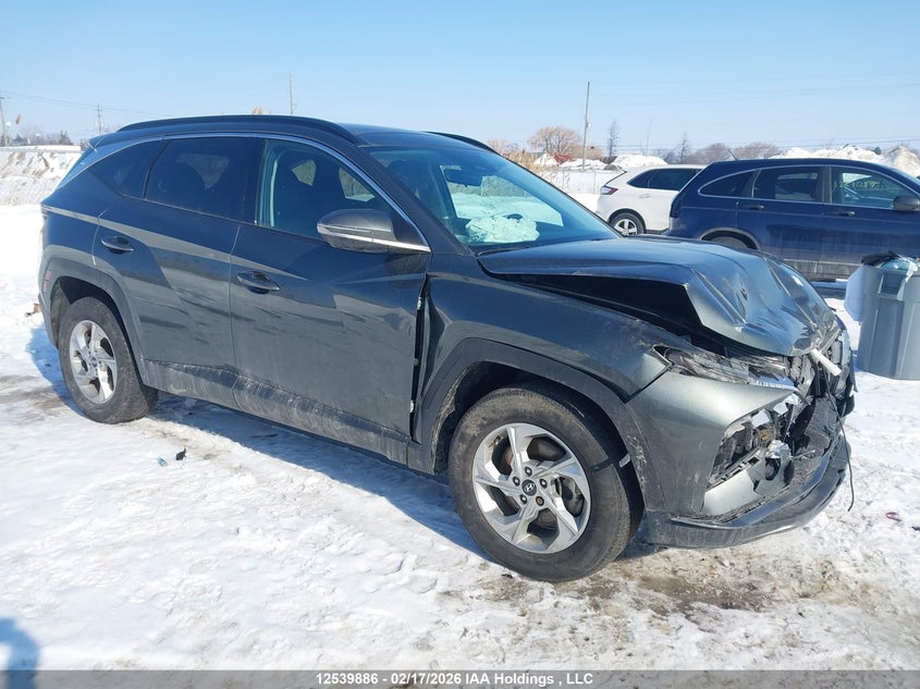 KM8JCCDE5RU322668 2024 Hyundai Tucson Trend Awd auction photo 1