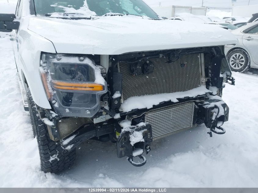 2025 Ford F150 Xlt VIN: 1FTFW3L86SKE49721 Lot: 12539994