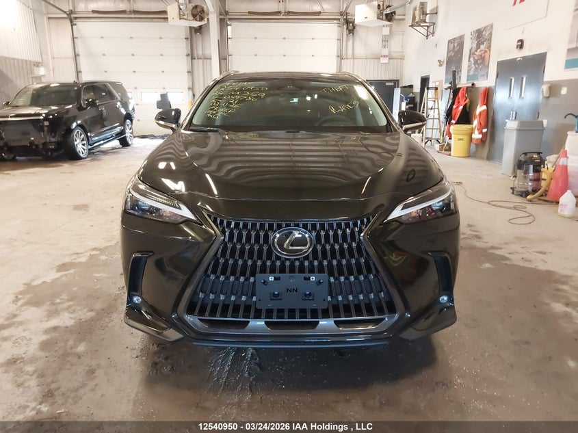 2024 Lexus Nx 350 Premium VIN: 2T2GGCEZ3RC059786 Lot: 12540950