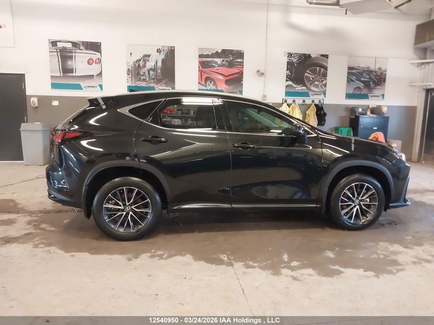 2024 Lexus Nx 350 Premium VIN: 2T2GGCEZ3RC059786 Lot: 12540950