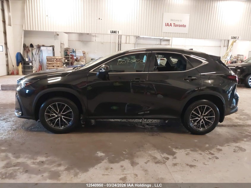 2024 Lexus Nx 350 Premium VIN: 2T2GGCEZ3RC059786 Lot: 12540950