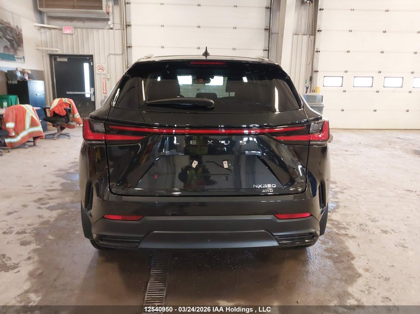 2024 Lexus Nx 350 Premium VIN: 2T2GGCEZ3RC059786 Lot: 12540950
