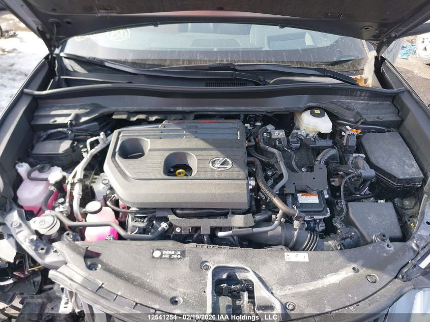 2025 Lexus Ux 300H VIN: JTHUCJDH6S2002971 Lot: 12541254