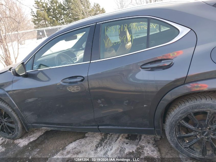 2025 Lexus Ux 300H VIN: JTHUCJDH6S2002971 Lot: 12541254