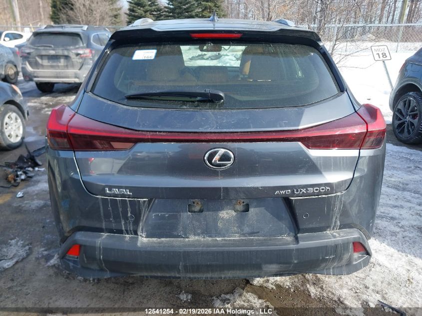 2025 Lexus Ux 300H VIN: JTHUCJDH6S2002971 Lot: 12541254