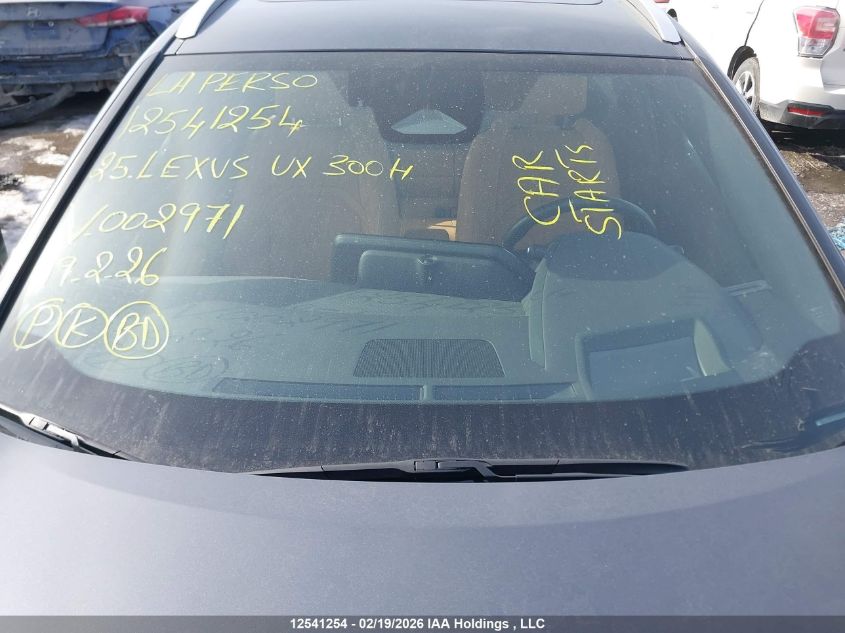 2025 Lexus Ux 300H VIN: JTHUCJDH6S2002971 Lot: 12541254