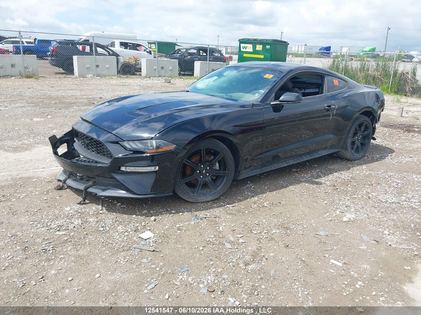 2019 FORD MUSTANG CABRIO 2.3L I4 FI DOHC 16V NF4