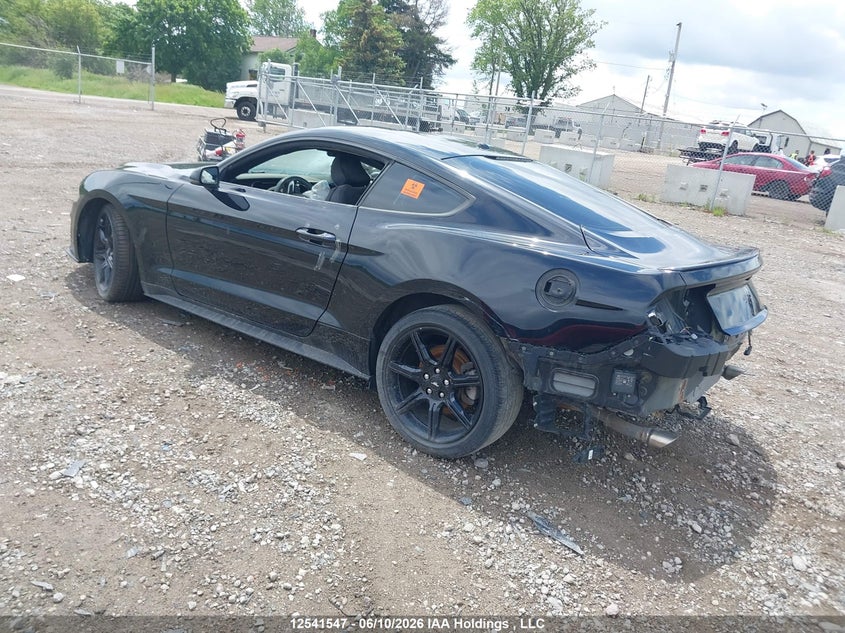 2019 FORD MUSTANG CABRIO 2.3L I4 FI DOHC 16V NF4