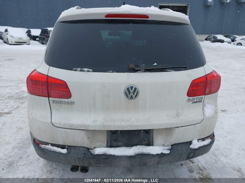2013 Volkswagen Tiguan S/Se/Sel VIN: WVGJV7AX6DW512306 Lot: 12541647