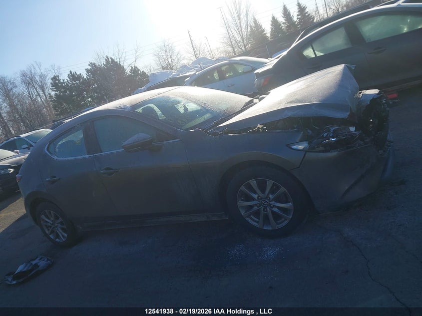 2020 Mazda Mazda3 VIN: JM1BPALM3L1149008 Lot: 12541938