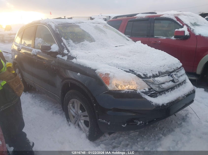 5J6RE4H74BL823236 2011 Honda Cr-V Ex-L auction photo 1