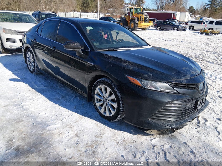 4T1B31HK0JU503349 2018 Toyota Camry Le auction photo 1