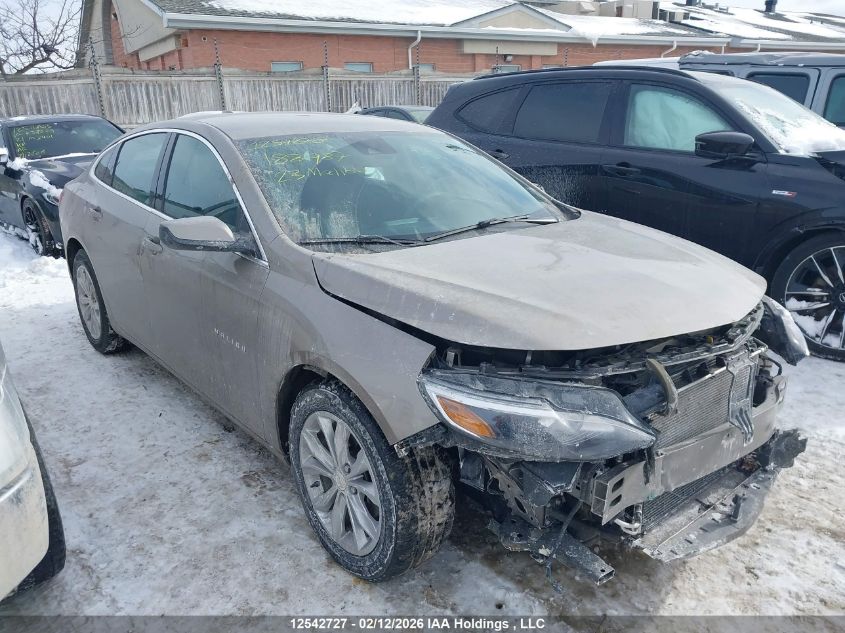 2023 Chevrolet Malibu 1Lt VIN: 1G1ZD5ST2PF188987 Lot: 12542727
