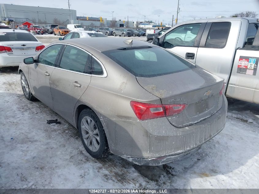 2023 Chevrolet Malibu 1Lt VIN: 1G1ZD5ST2PF188987 Lot: 12542727