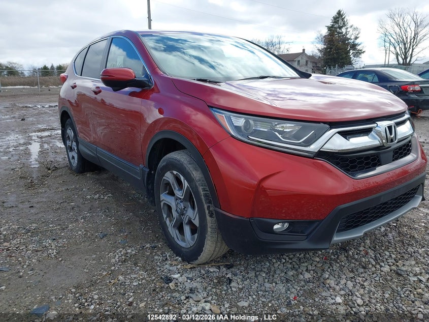 Vin: 2hkrw2h51kh114483, lot: 2934159, honda cr-v ex 2019 img_1