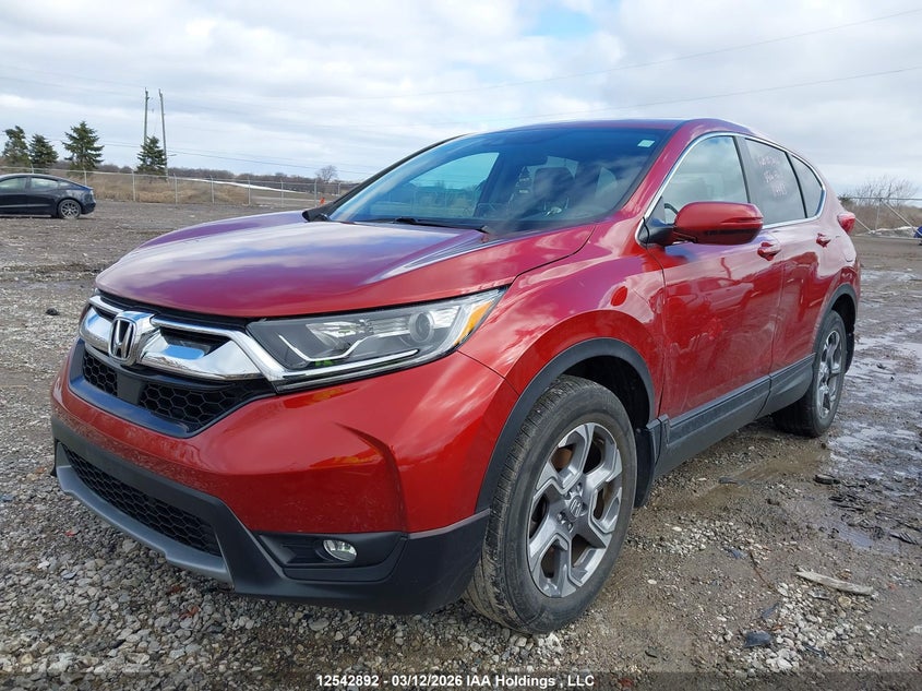 Vin: 2hkrw2h51kh114483, lot: 2934159, honda cr-v ex 20192