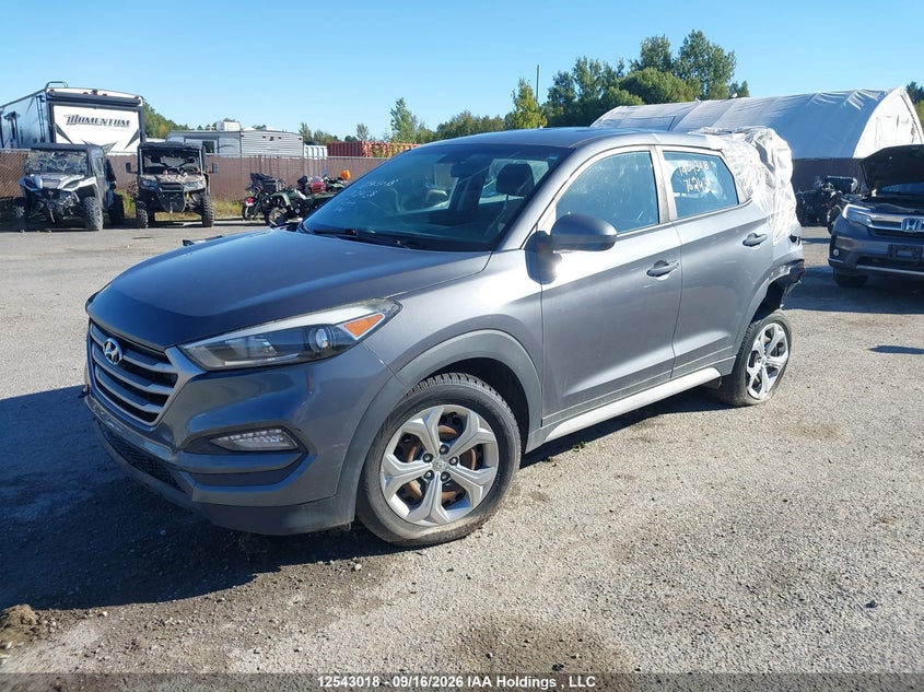 2018 Hyundai Tucson, Удар сзади, IAAI, VIN KM8J2CA43JU762438 — фото 2