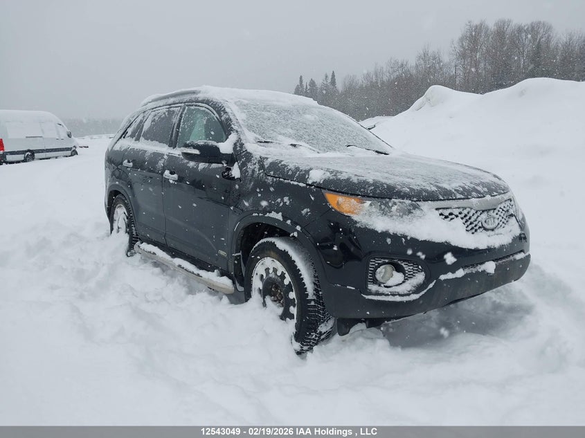 5XYKUDA2XDG385698 2013 Kia Sorento auction photo 1