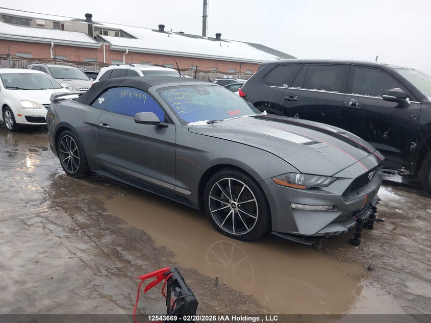 2022 Ford Mustang