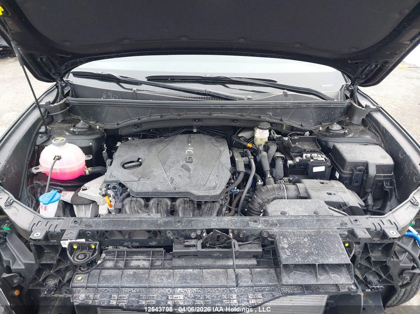 2025 Hyundai Tucson Sel VIN: 3KMJBCDE3SE024192 Lot: 12543708