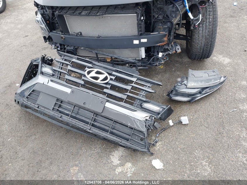 2025 Hyundai Tucson Sel VIN: 3KMJBCDE3SE024192 Lot: 12543708