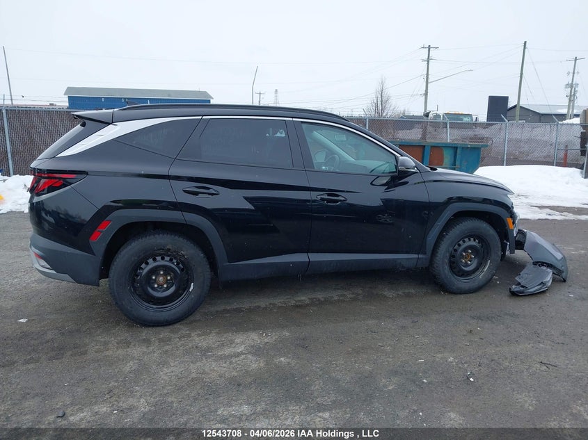 2025 Hyundai Tucson Sel VIN: 3KMJBCDE3SE024192 Lot: 12543708