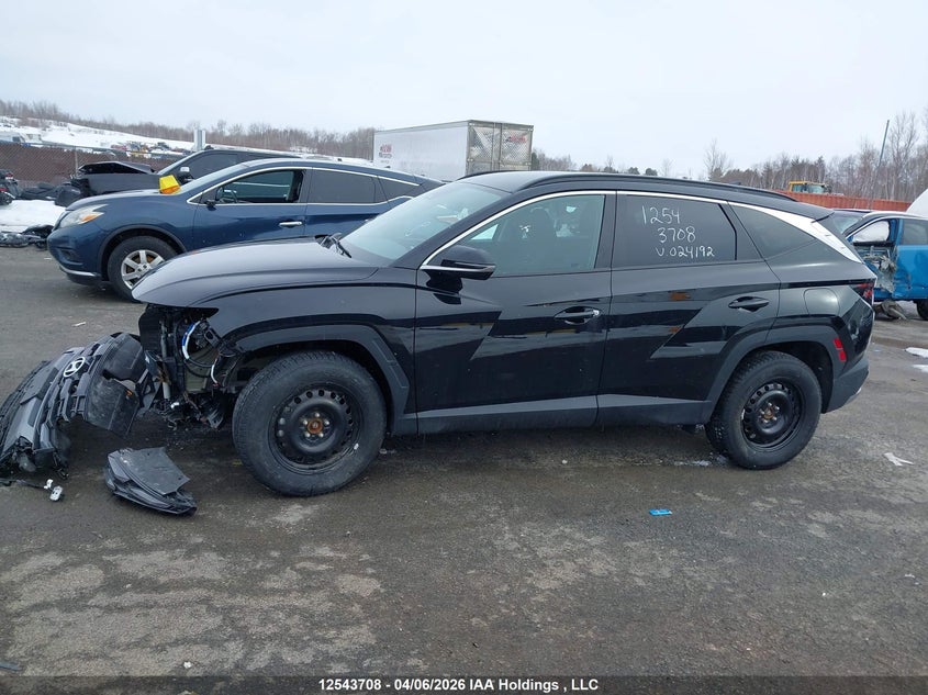 2025 Hyundai Tucson Sel VIN: 3KMJBCDE3SE024192 Lot: 12543708
