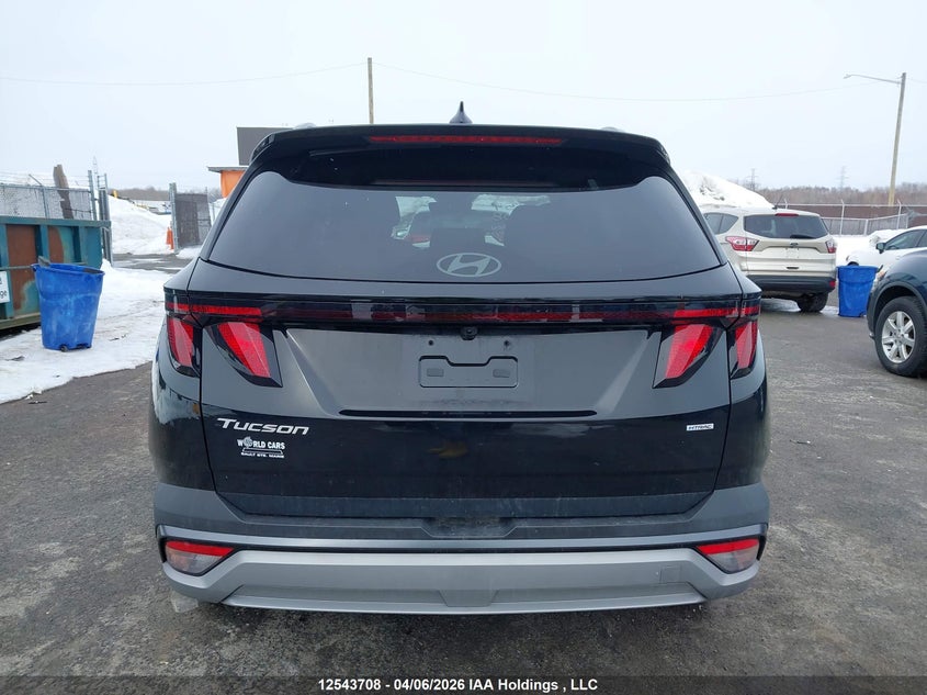2025 Hyundai Tucson Sel VIN: 3KMJBCDE3SE024192 Lot: 12543708