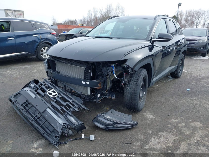 2025 Hyundai Tucson Sel VIN: 3KMJBCDE3SE024192 Lot: 12543708