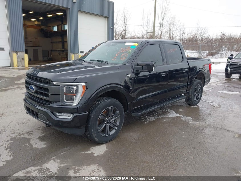 2023 FORD F150 SUPERCREW PICKUP 3.5L V-6 DI, DOHC, VVT, TURBO, 400HP