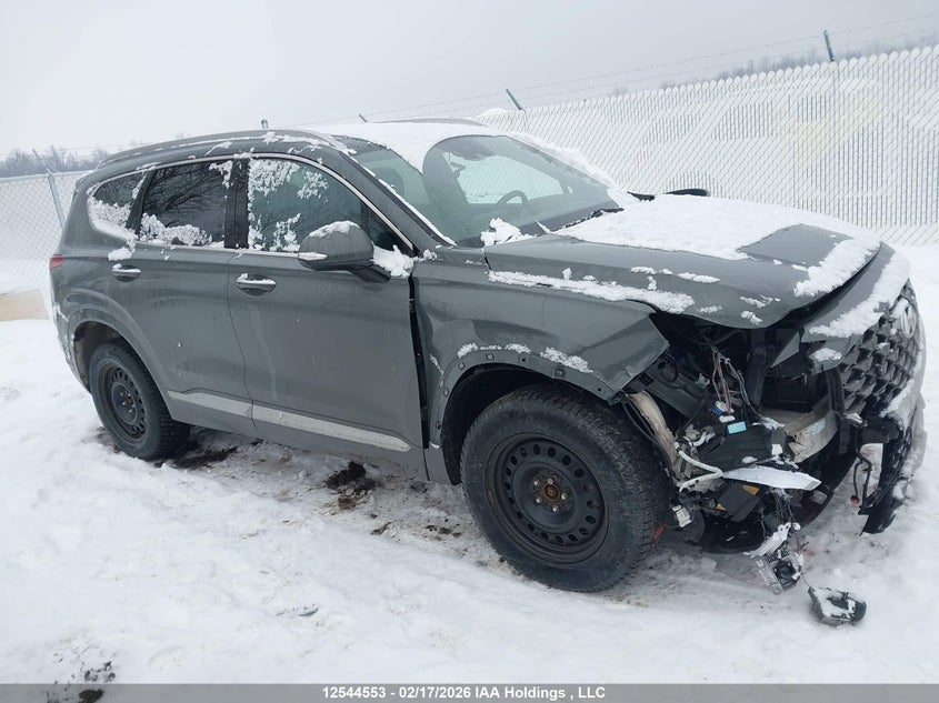 2021 Hyundai Santa Fe Ultimate Calligraphy VIN: 5NMS5DAL8MH331330 Lot: 12544553