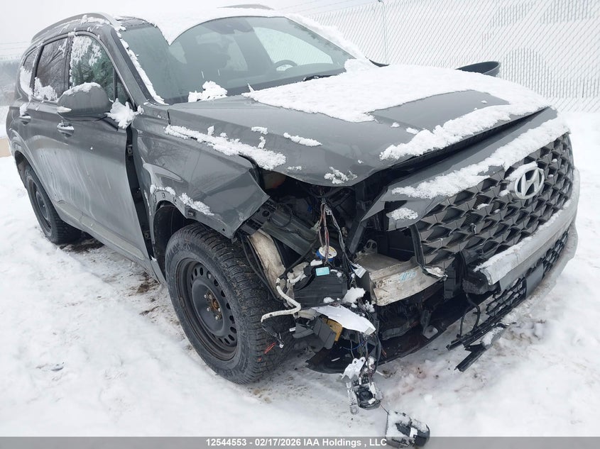 2021 Hyundai Santa Fe Ultimate Calligraphy VIN: 5NMS5DAL8MH331330 Lot: 12544553