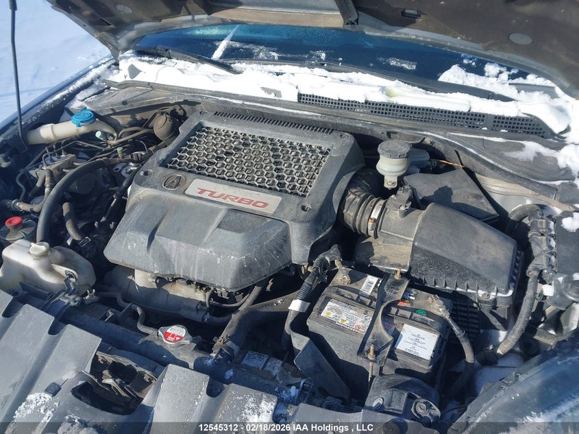 2009 Acura Rdx VIN: 5J8TB18519A801591 Lot: 12545312