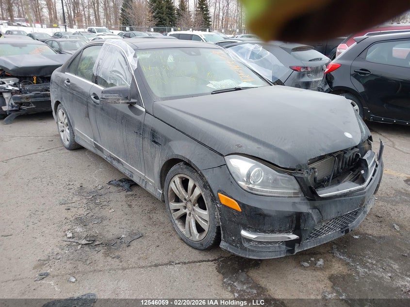 WDDGF8ABXEA960817 2014 Mercedes-Benz C 300 4Matic auction photo 1