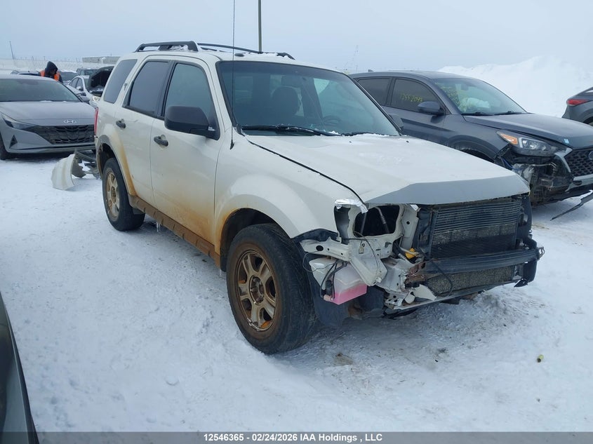 2010 FORD ESCAPE XLT AUTOMATIC
