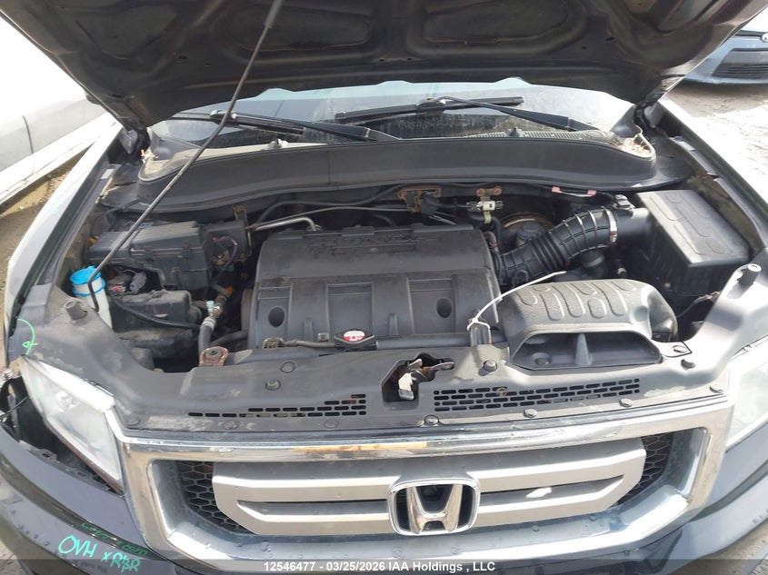 2011 Honda Ridgeline VIN: 5FPYK1F51BB501755 Lot: 12546477