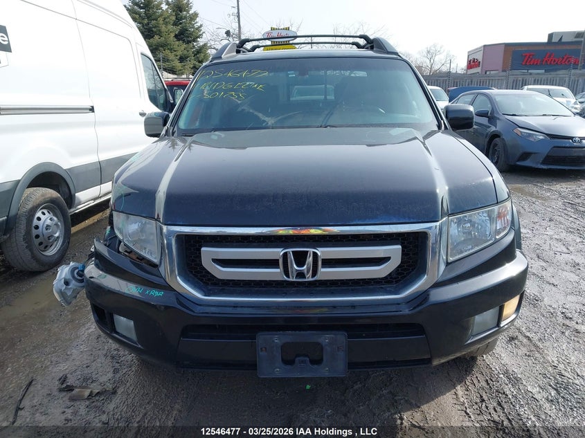 2011 Honda Ridgeline VIN: 5FPYK1F51BB501755 Lot: 12546477