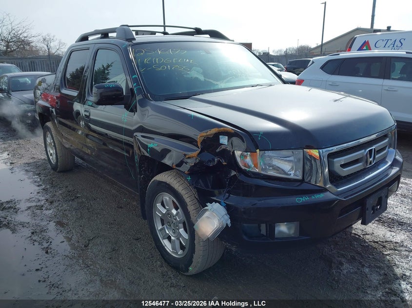 2011 Honda Ridgeline VIN: 5FPYK1F51BB501755 Lot: 12546477