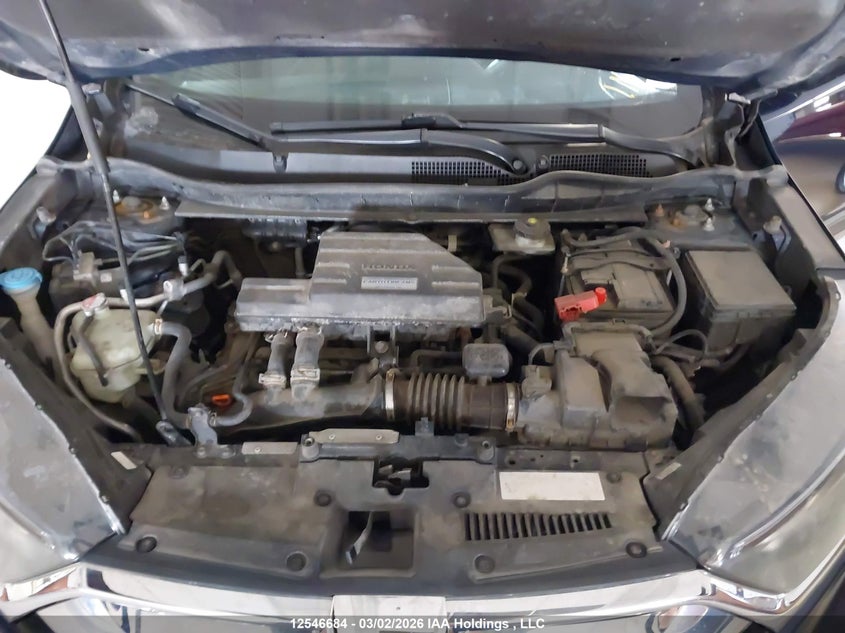 2017 Honda Cr-V Ex VIN: 2HKRW2H51HH134709 Lot: 12546684