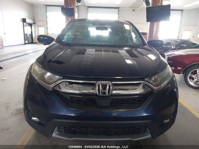 2017 Honda Cr-V Ex VIN: 2HKRW2H51HH134709 Lot: 12546684