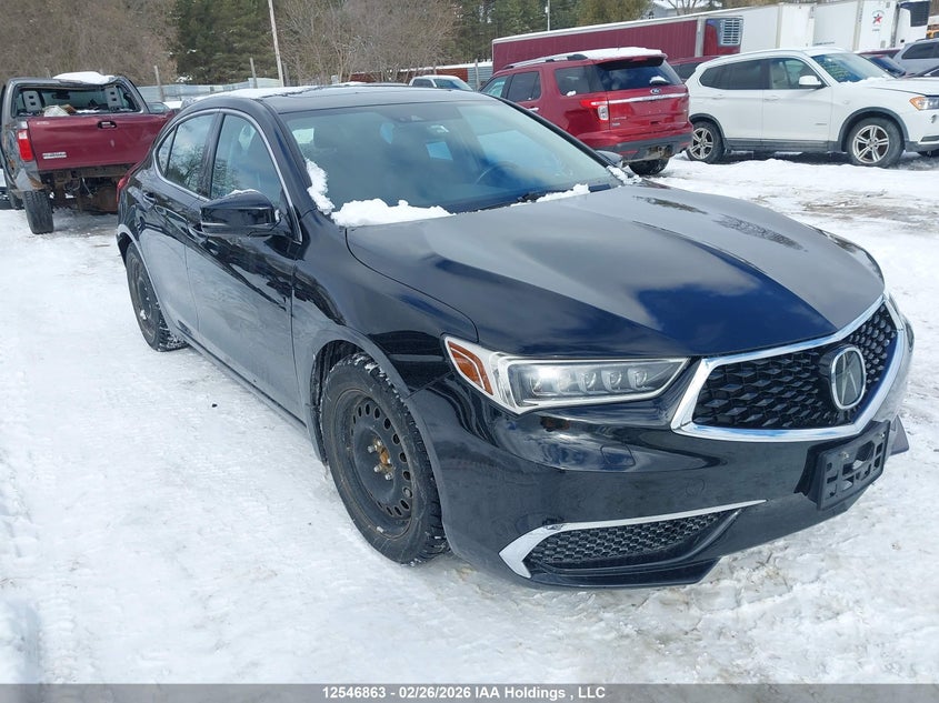 19UUB3F53KA801004 2019 Acura Tlx Technology auction photo 1