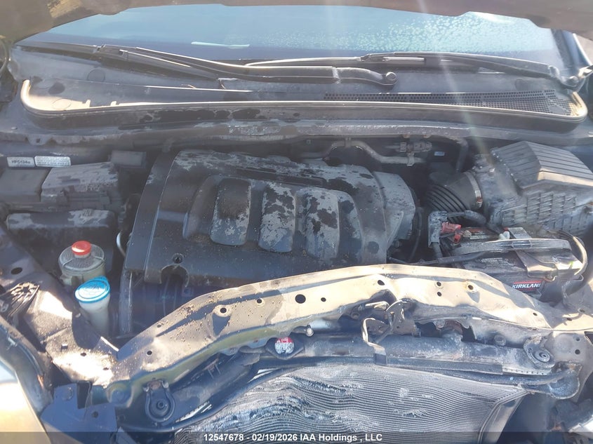 2007 Honda Odyssey Ex VIN: 5FNRL384X7B505742 Lot: 12547678